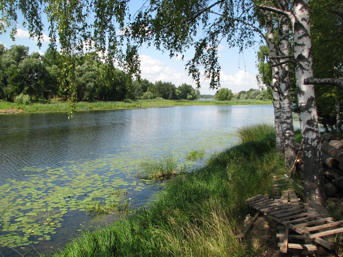 солоница